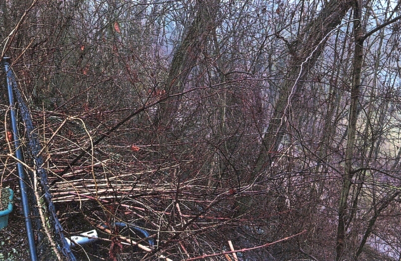 Einfamilienhaus und Nebengelass in Lebus - Bild 2