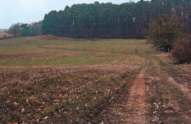 Land-/Forstwirtschaftsflächen in Eisenhüttenstadt - Bild 4