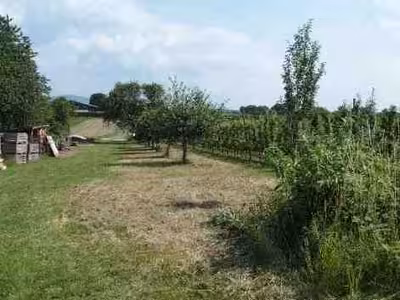 Sonstiges in Pfarrgutgewann, 65719 Hofheim - Bild 1