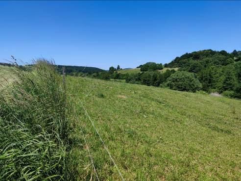 Landwirtschaftsfläche, Waldfläche in Straßbessenbach - Bild 4