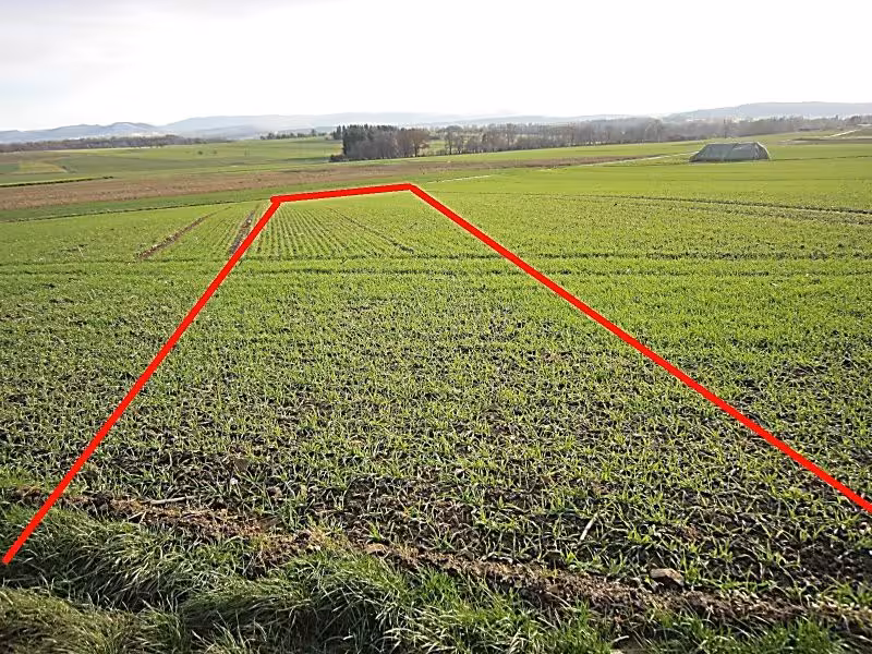 Landwirtschaftsfläche in Aichtal - Bild 1