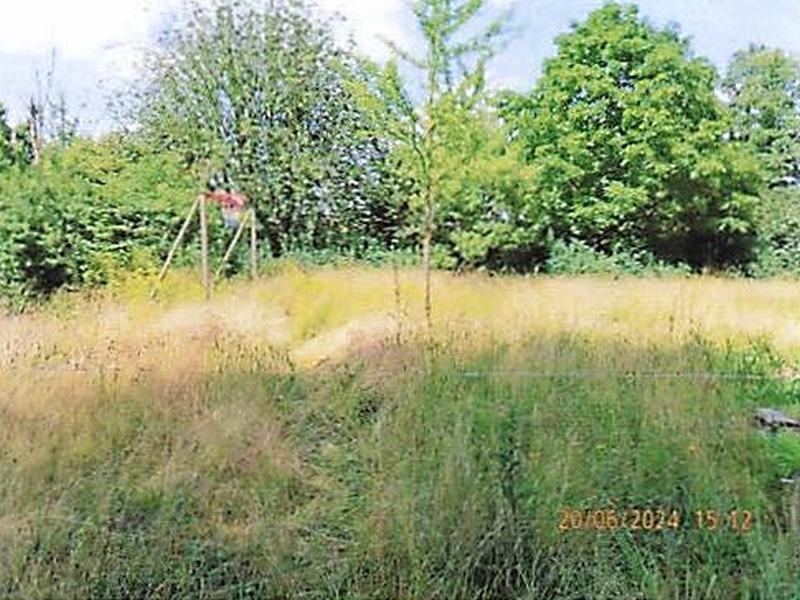 Grundstück mit einfachem Lagergebäude (Abrissgebäude) in Vierlinden - Bild 3