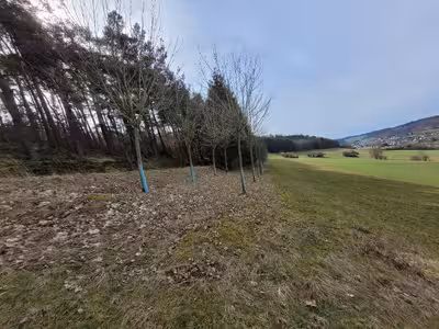 land- und forstwirtschaftlich genutztes Grundstück in Unter dem Graben, 35239 Steffenberg, Niedereisenhausen - Bild 1