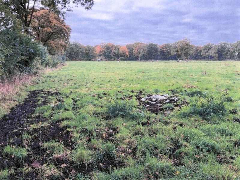 Landwirtschaftliche Nutzfläche (Dauergrünland) in Schafstedt - Bild 1
