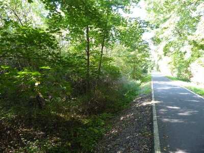 land- und forstwirtschaftlich genutztes Grundstück in Am Tragberge, 98693 Ilmenau, Langewiesen - Bild 2