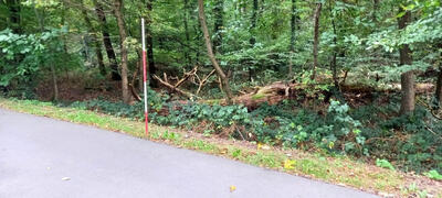 land- und forstwirtschaftlich genutztes Grundstück in Auf dem Birkenbusch 0, 53115 Bonn - Bild 2