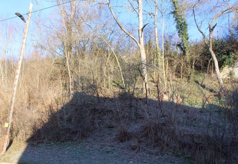 Unland (Böschung mit Gehölzen) in Leinfelden-Echterdingen - Bild 2