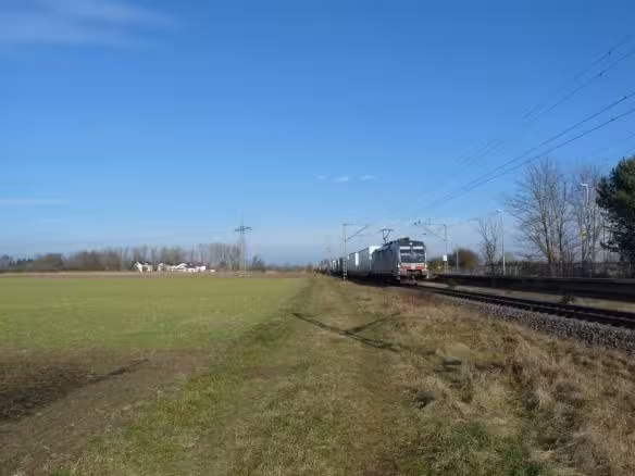 land- und forstwirtschaftlich genutztes Grundstück in Münster (Hessen) - Bild 4
