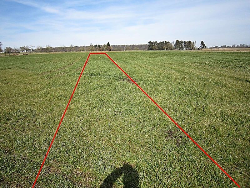 Landwirtschaftsfläche in Wolfschlugen - Bild 1