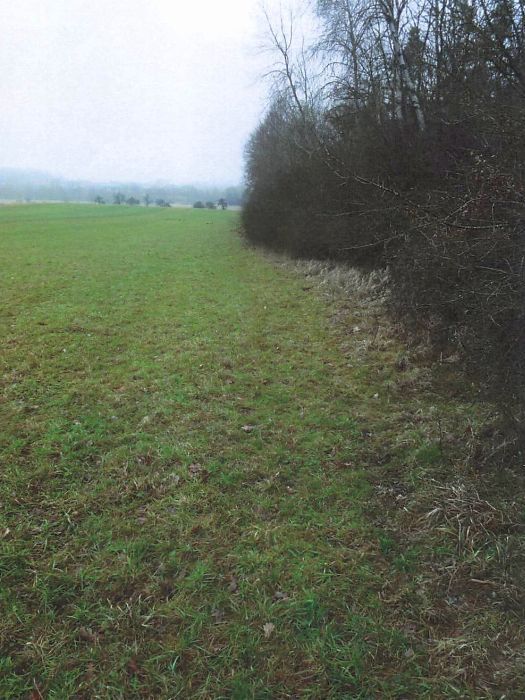 Grünland in Sachsenheim - Bild 1