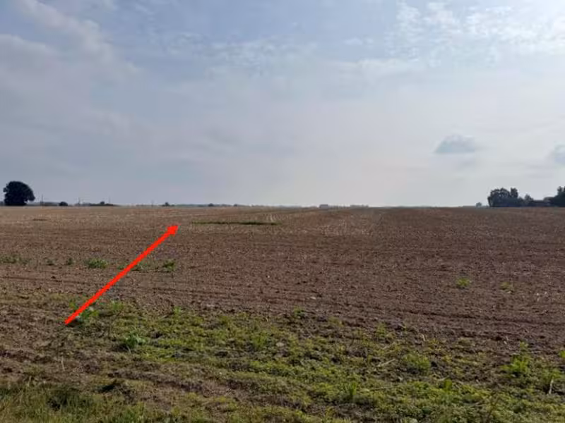 Landwirtschaftliche Nutzflächen in Utzedel - Bild 2