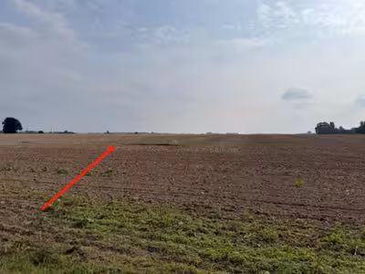 Landwirtschaftliche Nutzflächen in , 17111 Utzedel - Bild 2