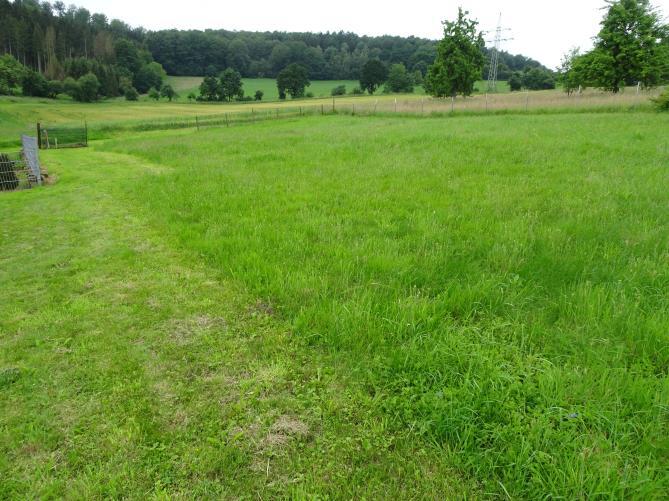 land- und forstwirtschaftlich genutztes Grundstück in Uslar - Bild 4