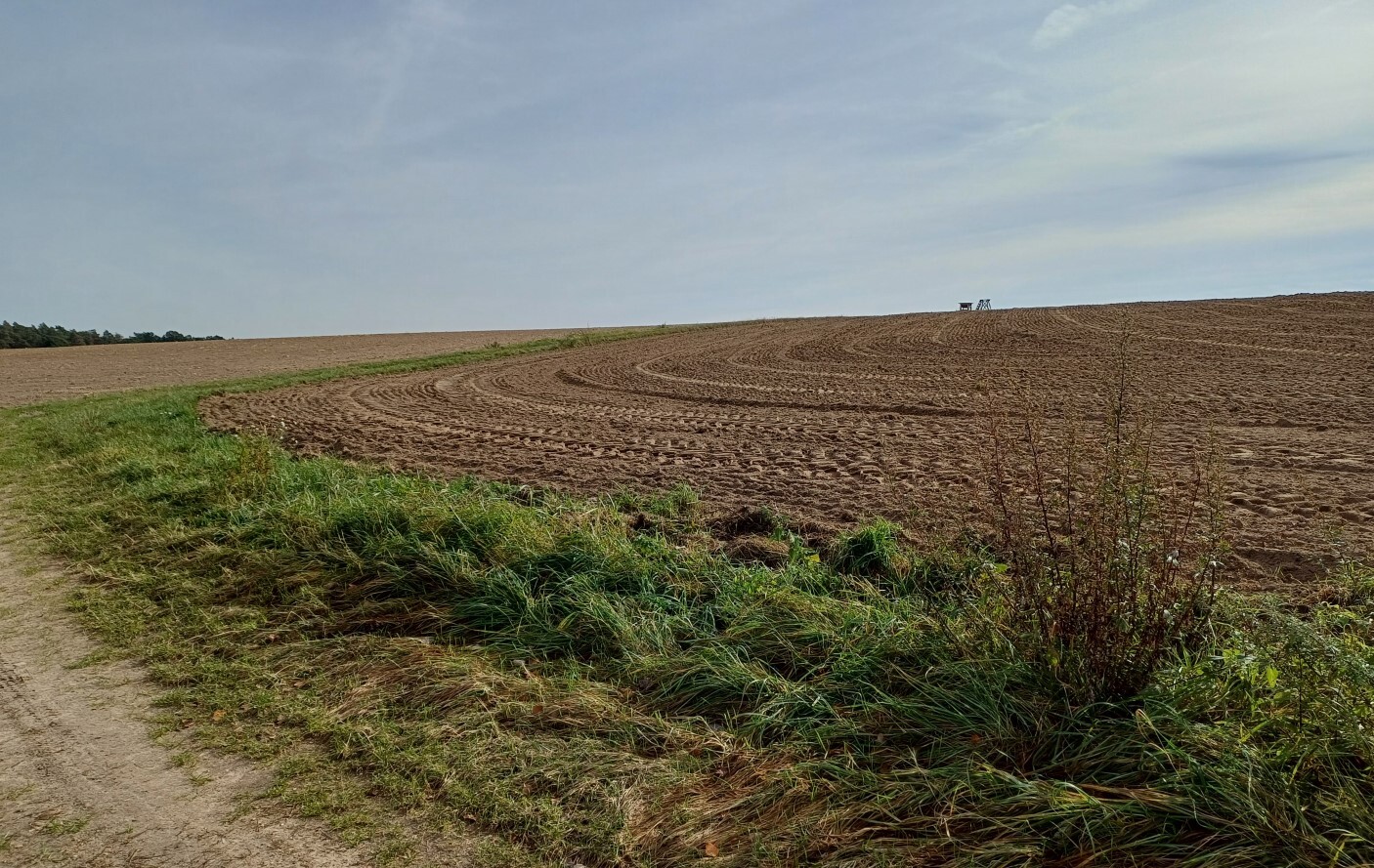 land- und forstwirtschaftlich genutztes Grundstück in Saara - Bild 3