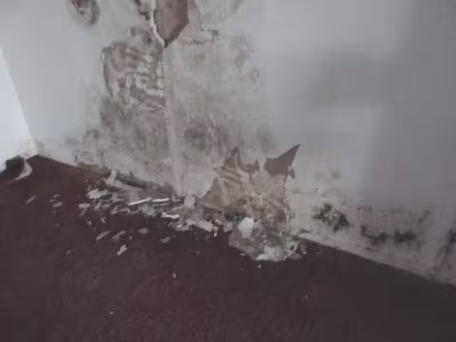 Mehrfamilienhaus in Lengerich - Bild 1