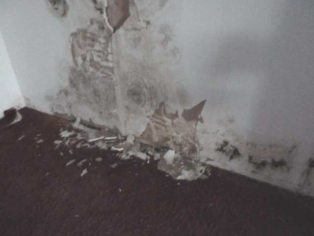 Mehrfamilienhaus in Lengerich - Bild 1