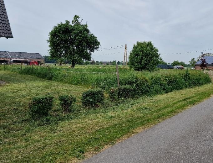 unbebautes Grundstück in Hamminkeln - Bild 1