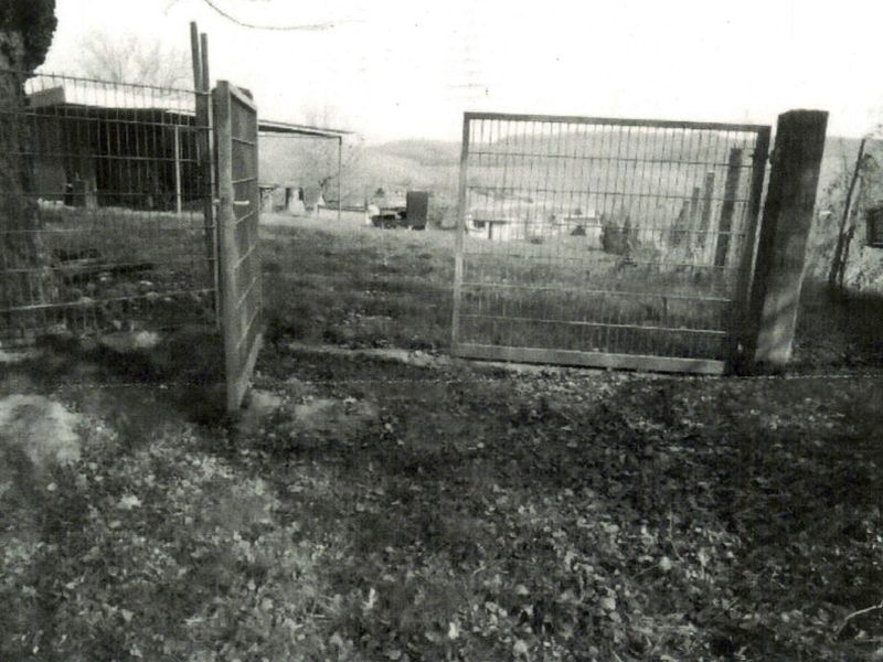 Freizeitgartenfläche in Flein - Bild 2