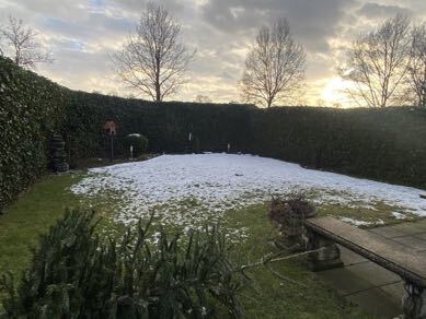 Doppelhaushälfte, Carport, Weg in Verl - Bild 4