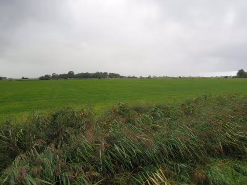 Landwirtschafliche Fläche in Werdum - Bild 4