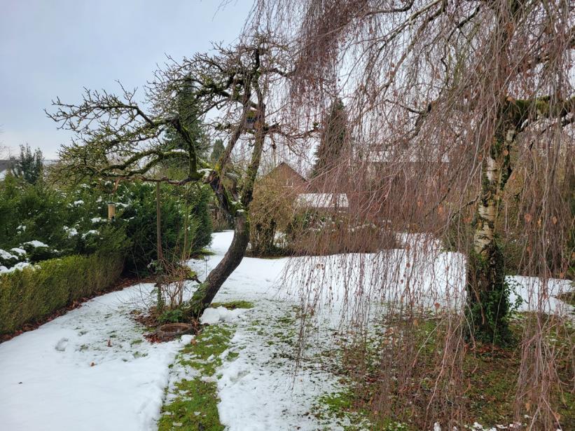 Zweifamilienhaus in Paderborn - Bild 2