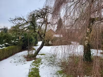 Zweifamilienhaus, Baugrundstück in Benhauser Str. 33, 33100 Paderborn, Paderborn - Bild 2