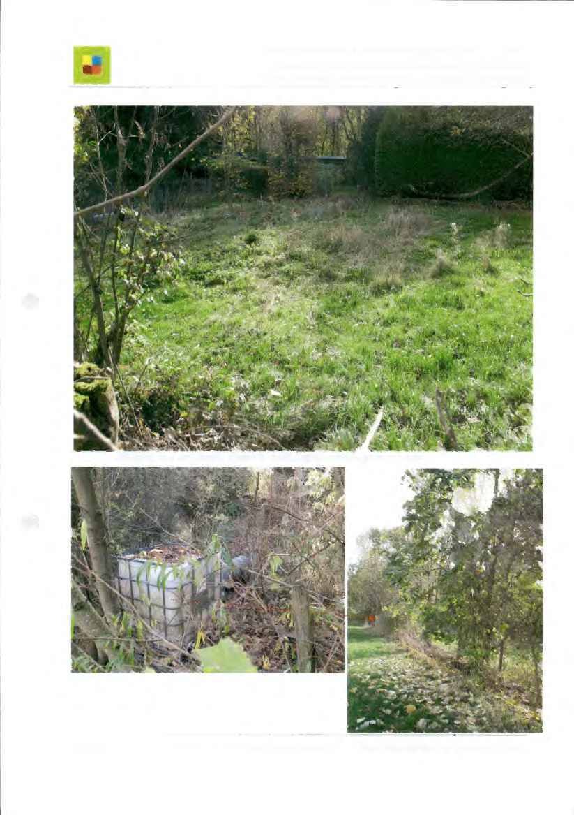 unbebautes Grundstück in Englmannsberg - Bild 2