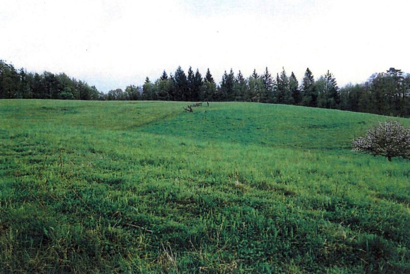 Landwirtschaftsflächen in Wüstenrot - Bild 4