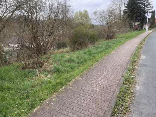 unbebautes Grundstück in Einbeck - Bild 1