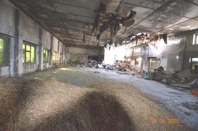 Sonstiges in Steindammer Weg, 16792 Zehdenick/Havel - Bild 2