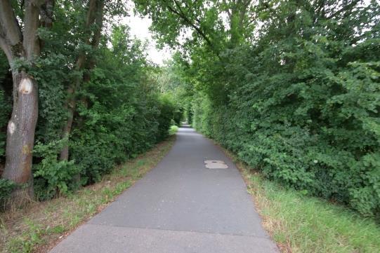 land- und forstwirtschaftlich genutztes Grundstück in Groß-Karben - Bild 3