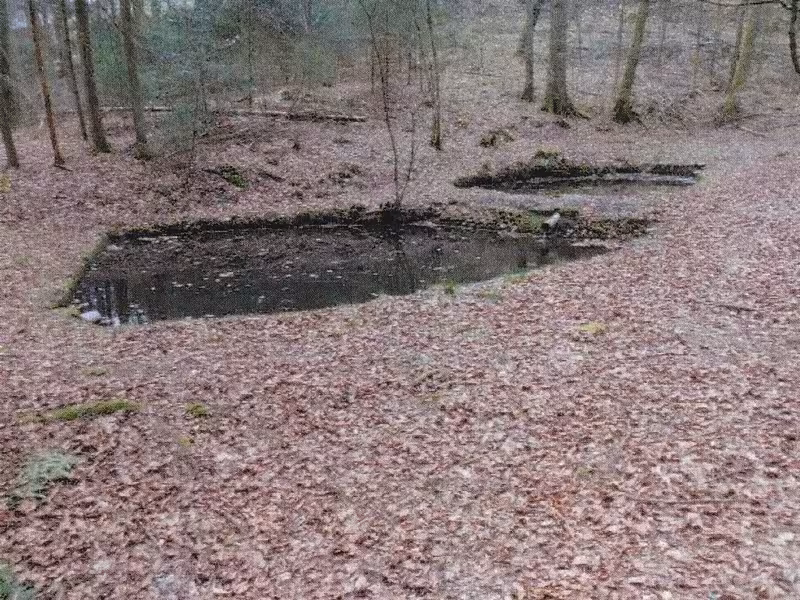 Freizeitgrundstück mit Blockhütte in Eiterbach - Bild 1