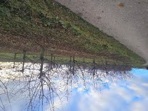 land- und forstwirtschaftlich genutztes Grundstück in Wiesbaden - Bild 4
