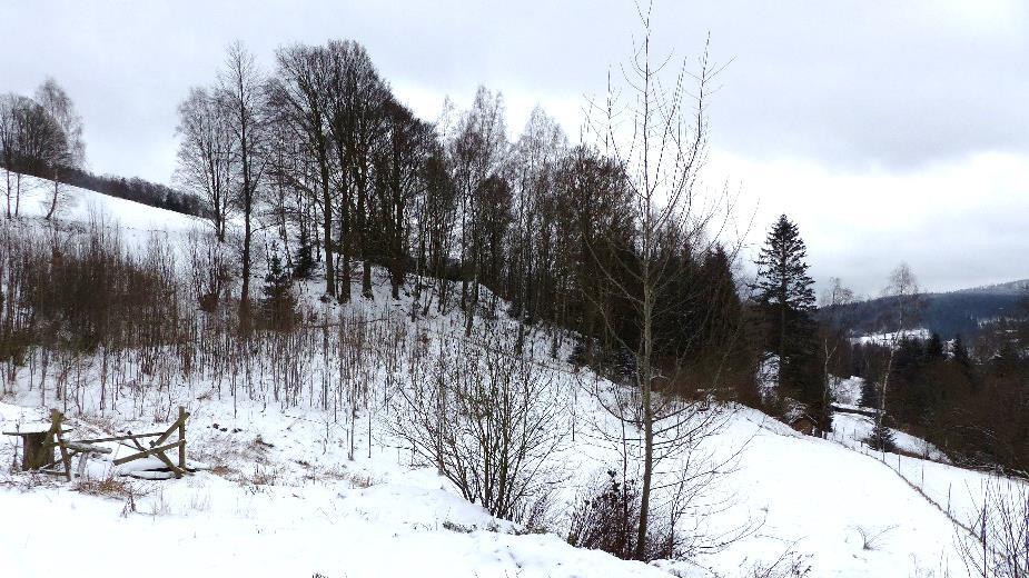 Grundstück bebaut mit Gartenbungalow in Bremen - Bild 2
