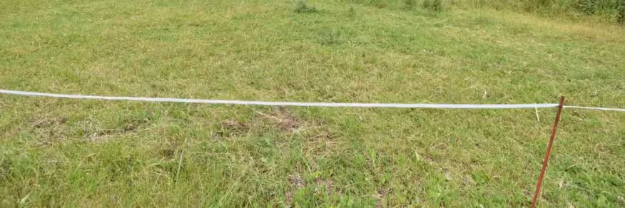 Einfamilienhaus, land- und forstwirtschaftlich genutztes Grundstück in Mörlach - Bild 16