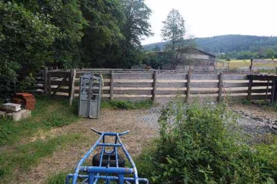 Gaststättengebäude, Landwirtschaftsfläche, Erholungsfläche in Schönsee - Bild 6