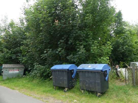 Sonstiges in Kalefeld - Bild 3