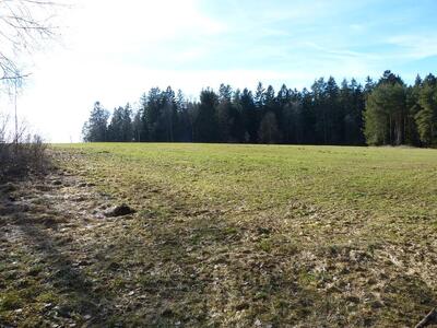 unbebautes Grundstück in Waldferiendorf, 94209 Regen, Kattersdorf - Bild 2