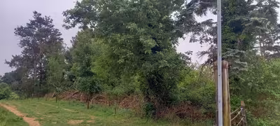 land- und forstwirtschaftlich genutztes Grundstück, Steingasser Bahn in In der Morkelskaul, 53347 Alfter - Bild 2