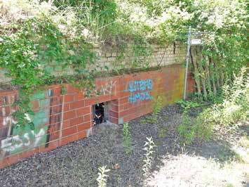 unbebautes Grundstück in Berlin - Bild 4