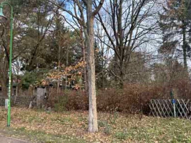 Bungalowruine in Königs Wusterhausen - Bild 2