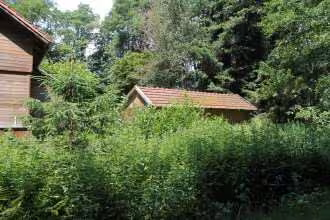 Wohnhaus in Gleißenberg - Bild 9