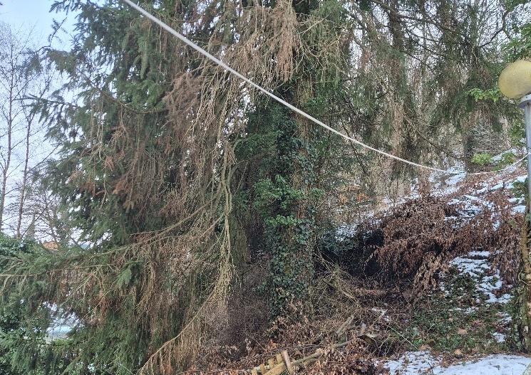 Einfamilienhaus, Einfamilienhaus mit Gartenland in Biedenkopf - Bild 3