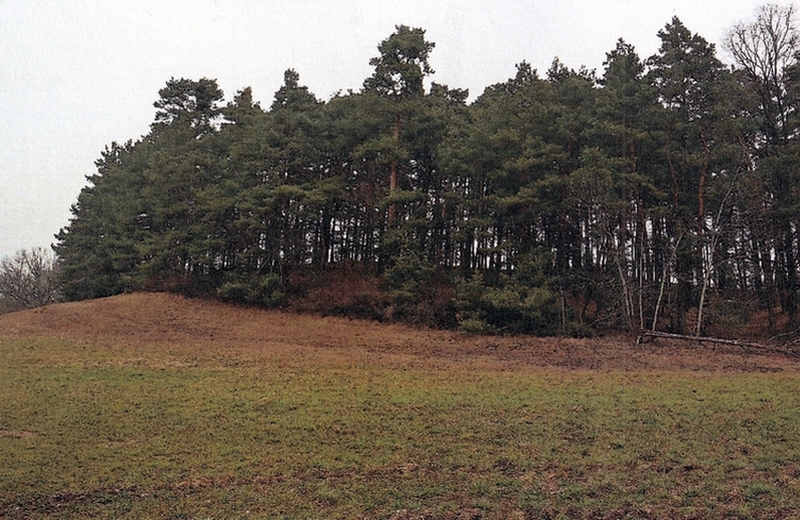 Land-/Forstwirtschaftsflächen in Eisenhüttenstadt - Bild 3