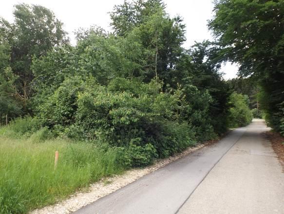 Betriebsfläche, Landwirtschaftsfläche, Waldfläche in Walting - Bild 2