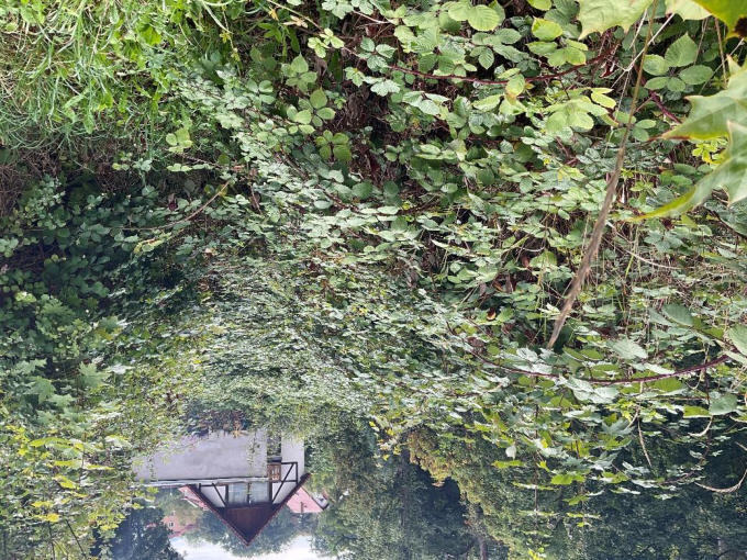 unbebautes Grundstück in Jena - Bild 2