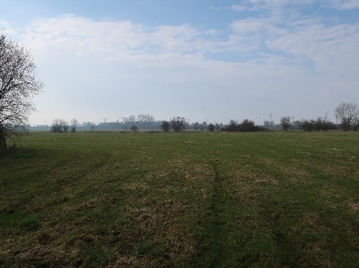 land- und forstwirtschaftlich genutztes Grundstück, überwiegend landwirtschaftliche Nutzflächen, welche als Grünland genutzt werden in Leer (Ostfriesland) - Bild 4