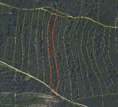 Waldgrundstück in Hemau - Bild 1