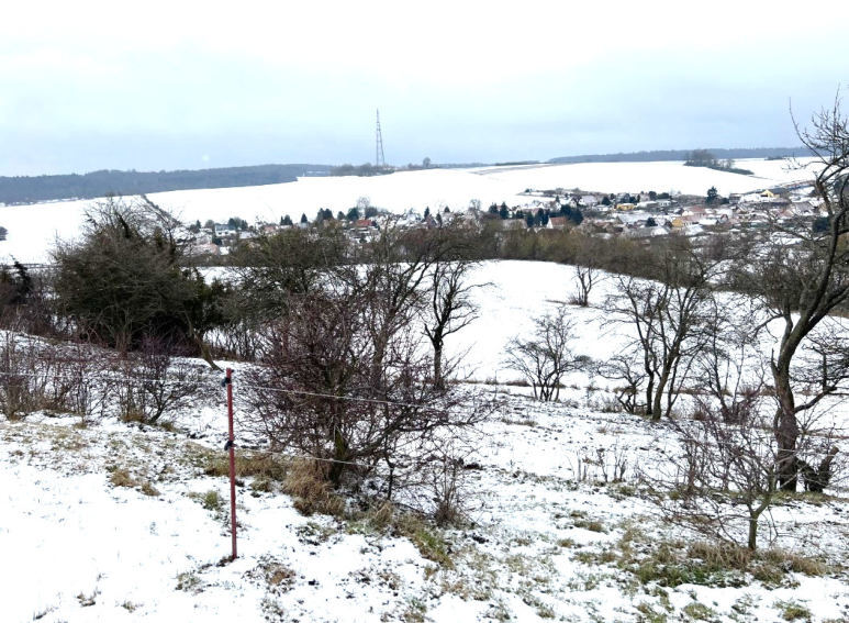land- und forstwirtschaftlich genutztes Grundstück in Bad Berka - Bild 1