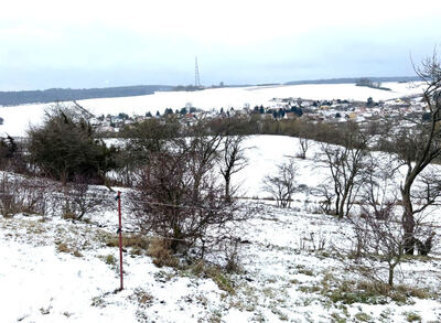 land- und forstwirtschaftlich genutztes Grundstück in Hinterm Ebenberge, 99438 Bad Berka, Gutendorf - Bild 1